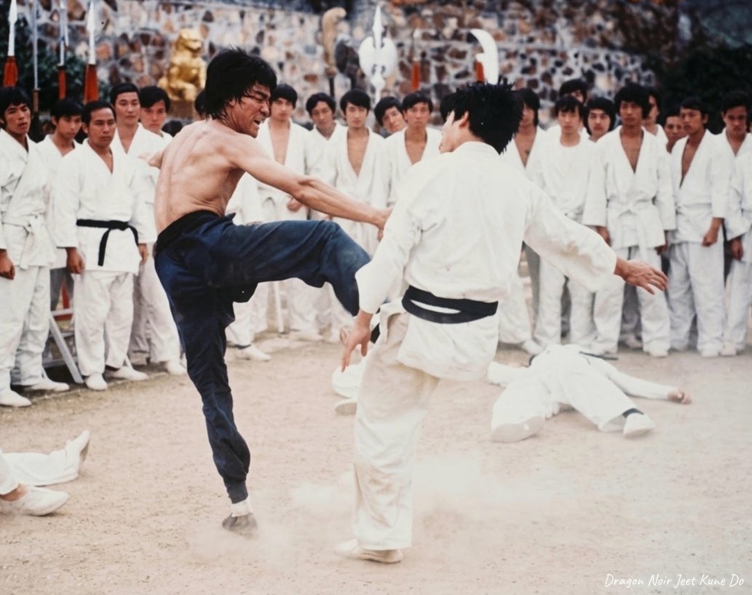 THE ESSENCE OF JEET KUNE DO: THE SCIENCE OF OPTIMIZATION