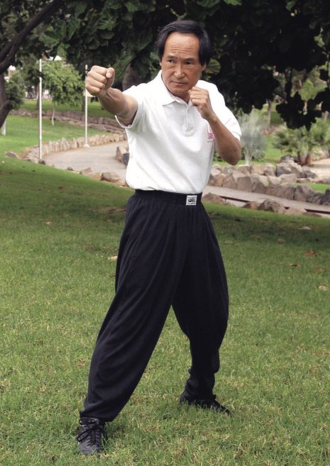 Pure Legacy of Ted Wong